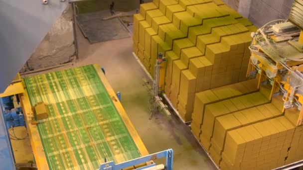 View of ready-made bricks loaded on pallets — Stock Video