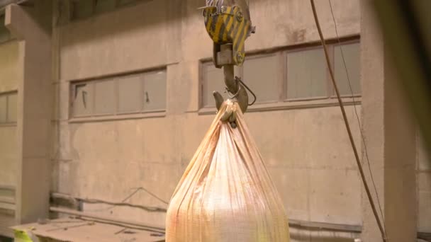 Industria. Vista de la bolsa colgada en la grúa de suspensión — Vídeo de stock