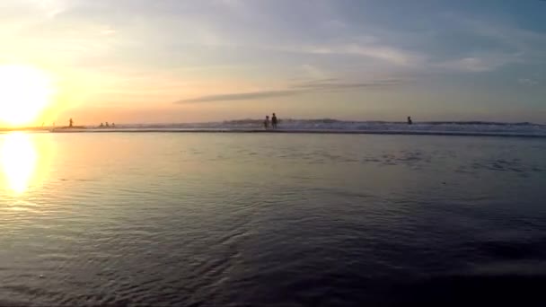 Вид на відпочиваючих вздовж пляжу — стокове відео