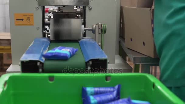 Vista de los paquetes de productos listos para trabajar en caja — Vídeo de stock