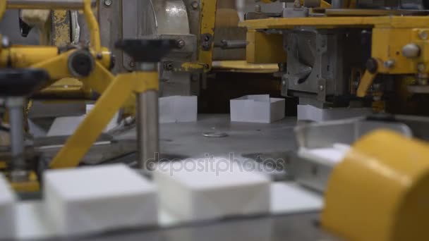 Transportador lleno de productos lácteos en fábrica daity — Vídeos de Stock