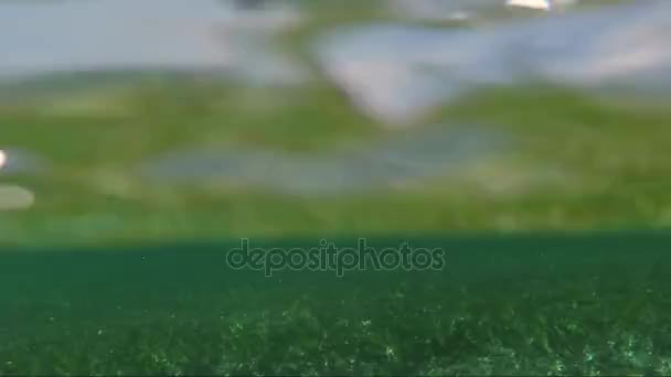 Подводный обзор дождей на поверхности воды — стоковое видео