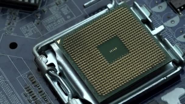 Close-up view of processor on motherboard — Stock Video