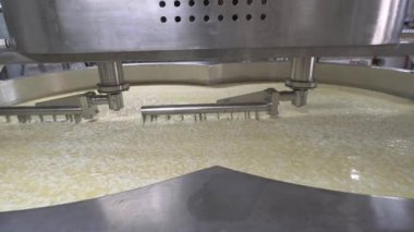 Süt ürünleri metal tank içeriği ile