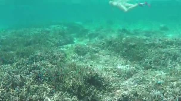 Onderwater weergave van duiker in masker — Stockvideo