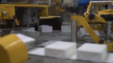 Süt ürünleri paketleme istasyonu