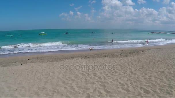 Mar abandonado praia ensolarada — Vídeo de Stock