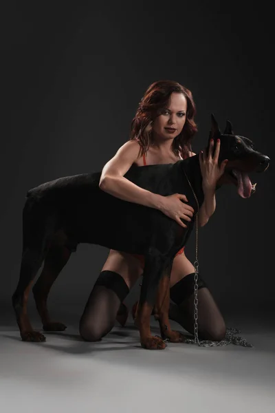 Sexy chica en medias abrazando perro negro en el estudio —  Fotos de Stock