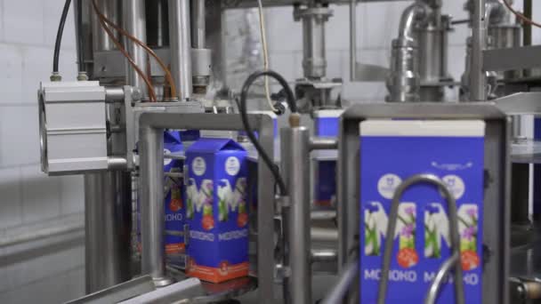 Milk boxing equipment at dairy plant — Stock Video