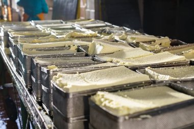 Tamamlanmış süt ürünleri üretim hattında