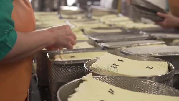 Recipientes de metal con productos lácteos acabados — Vídeo de stock