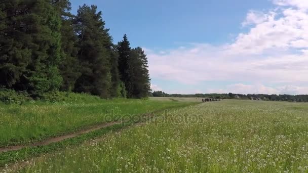 Kültéri kerékpáros verseny között az erdő és mező — Stock videók