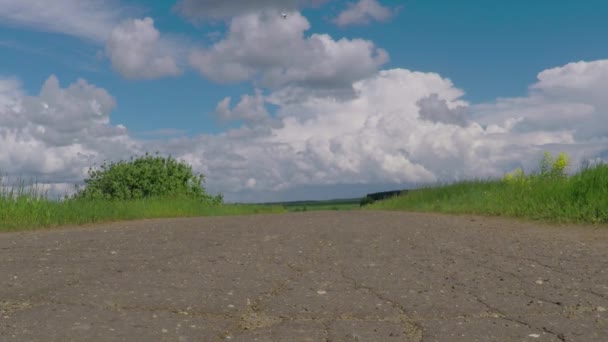 Carrera ciclista al aire libre entre bosque y campo — Vídeos de Stock