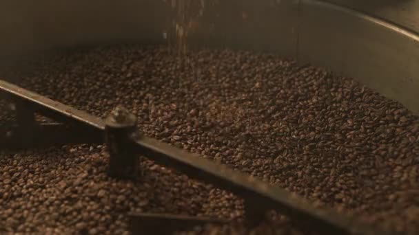 Coffee bean roaster at work in a production room — Stock Video