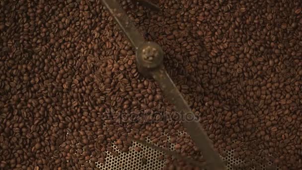 Coffee bean automatic mixing device at work — Stock Video