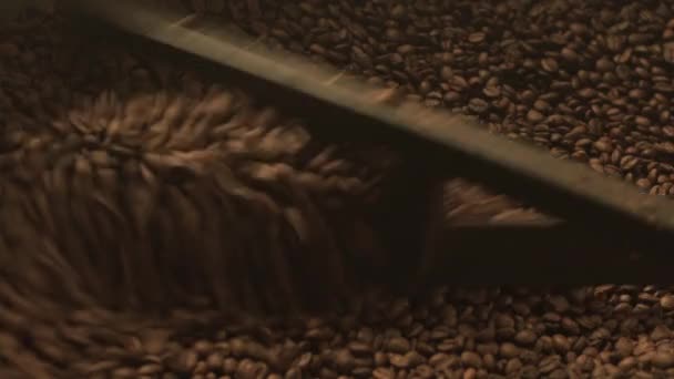 Raw coffee bean mixing device at work — Stock Video