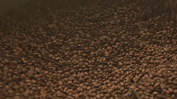 Dispositivo de mezcla de granos de café en el trabajo — Vídeos de Stock
