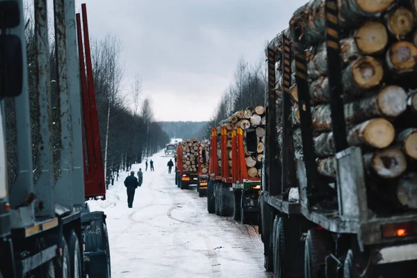 Vehículos largos cargados en carretera de invierno entre bosques —  Fotos de Stock