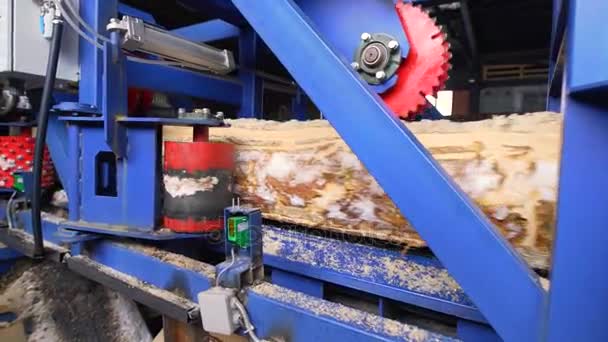 Holzbearbeitungsmaschinen im Sägewerk — Stockvideo