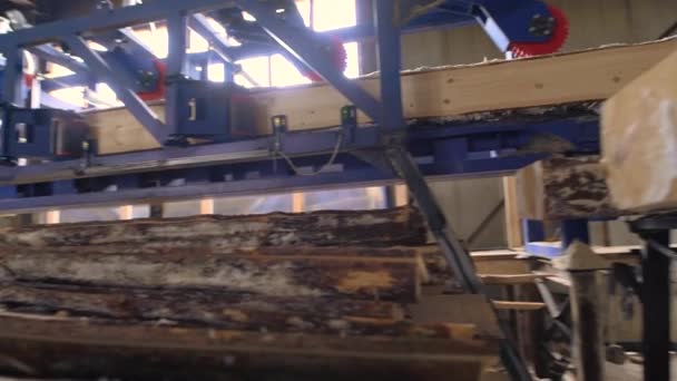 Vue des machines de coupe à la scierie — Video