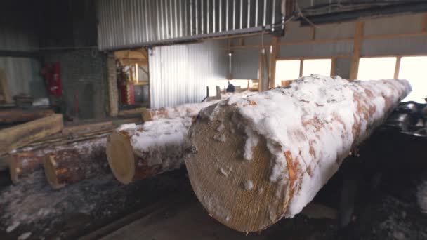 Vue du bois scié prêt à être coupé à la scierie — Video