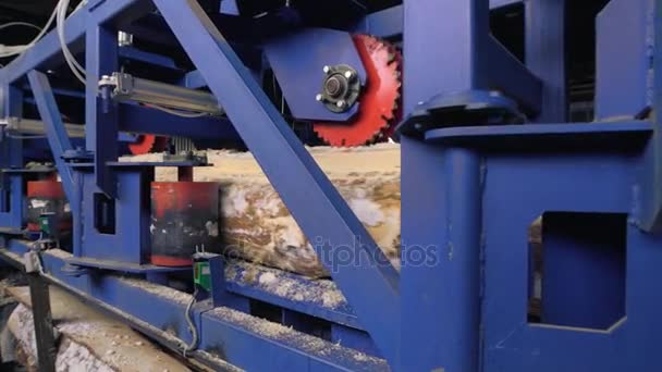 Weergave van cutting machines op Sägmühle — Stockvideo