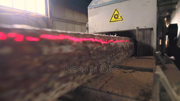 Вид на режущий станок на лесопильном заводе — стоковое видео
