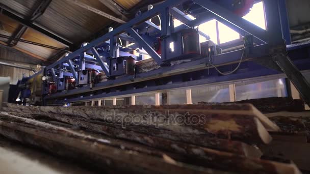 Madeira cortada pronta para trabalhar madeira em serração — Vídeo de Stock