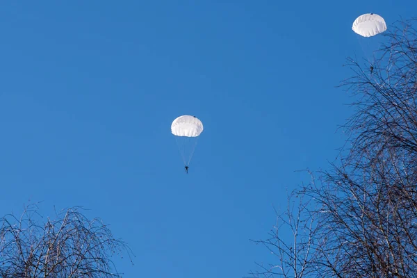 Пара парашютистов, летящих в ярко-голубом небе — стоковое фото