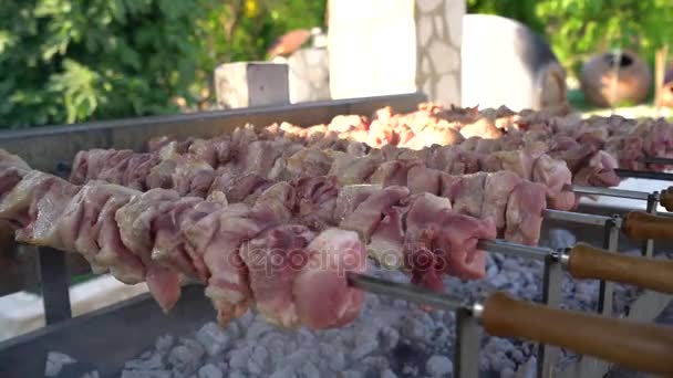 Shashlik out-of-doors in a park on Cyprus island — Stock Video