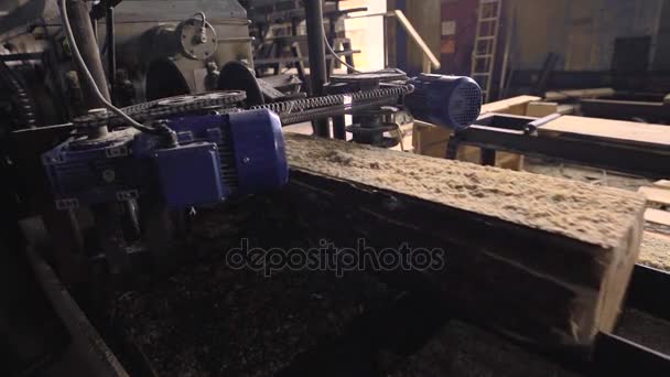 Вид на режущий станок на лесопильном заводе — стоковое видео