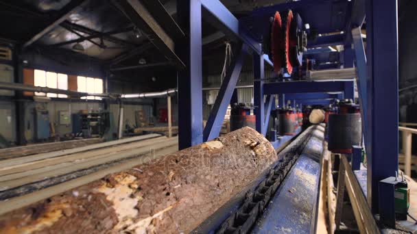 Sawmill, lumber industry - cutting line, machinery — Stock Video