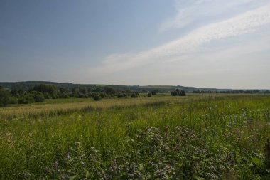 Rus yaz geniş alan güzel manzara çekim