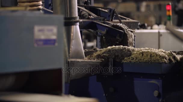 Fräsmaschine im Sägewerk, Holzindustrie — Stockvideo