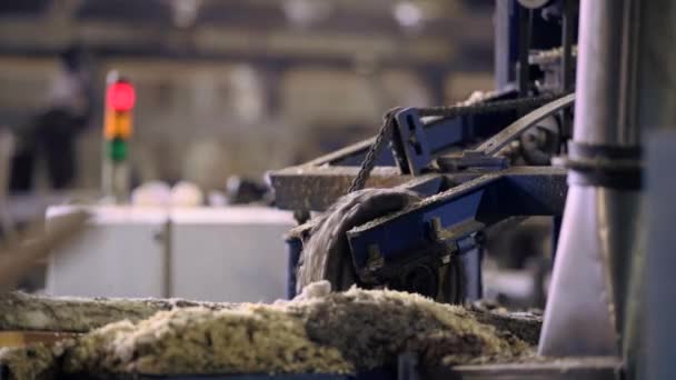 Visa skärande maskiner på såg mill — Stockvideo