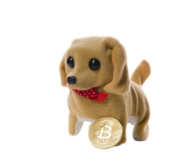 Ładna zabawka puppy i bitcoin Złoty strzał na białym — Zdjęcie stockowe