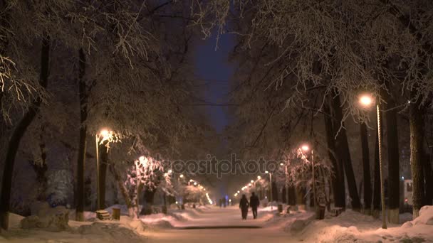 Пары, гуляющие в зимнем вечернем городском парке — стоковое видео