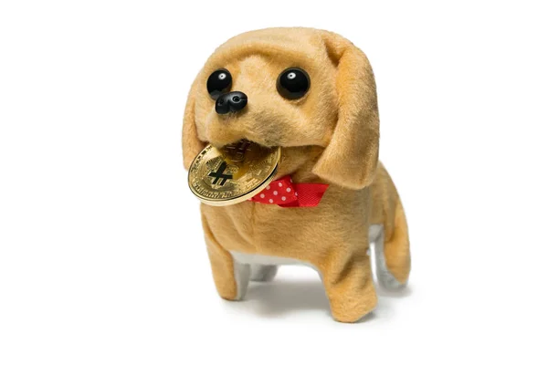 Adorável brinquedo-filhote de cachorro com bitcoin dourado tiro no branco — Fotografia de Stock