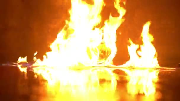 Disznófej a tűz beltéri videóban — Stock videók