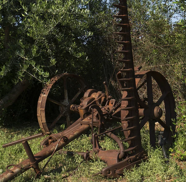 Ancient land plowing adjustment in Cyprus park — Stock Photo, Image