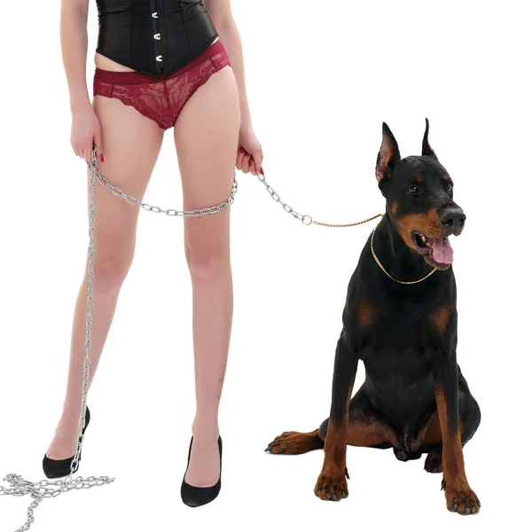 Женщина в нижнем белье держит собаку на металлической цепи — стоковое фото