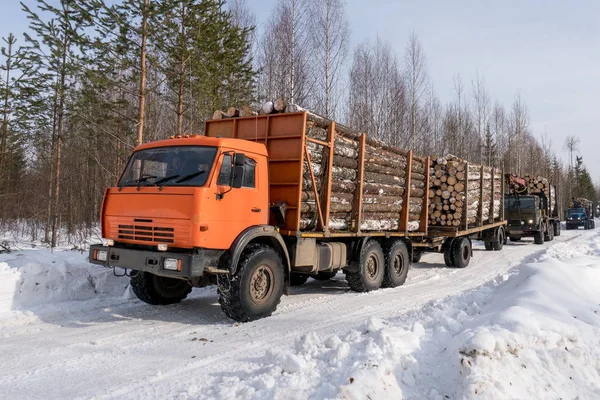 Trucks loaded with timber move out of woods