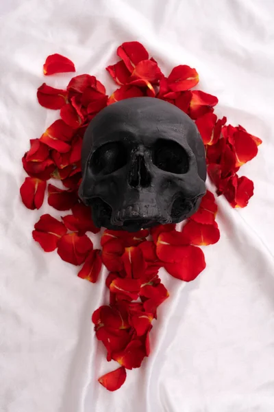 Crânio deitado em pétalas de rosa vermelha vista superior — Fotografia de Stock