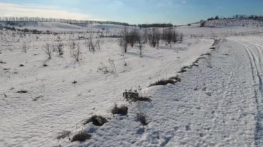 güzel panoramik karlı manzara quadrocopter vurdu