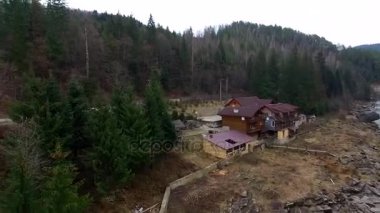 güzel manzara nehir ve orman