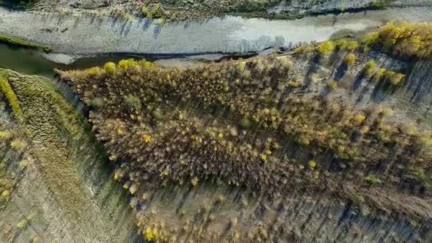 Kaukasischer Wald und Fluss, Blick von oben — Stockvideo