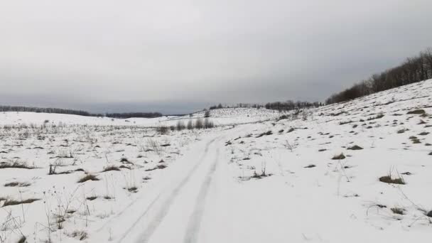 Снежная дорога и поле — стоковое видео