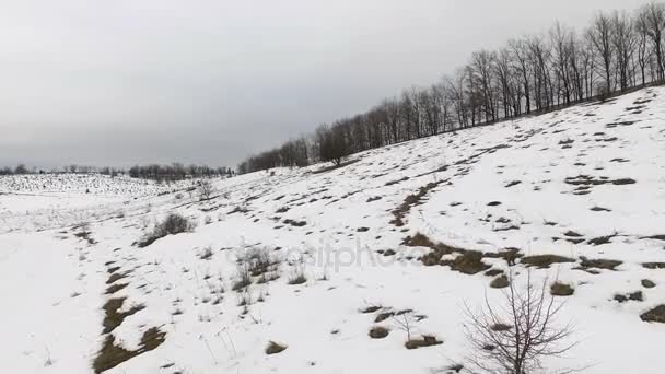Nieve carretera y campo — Vídeo de stock