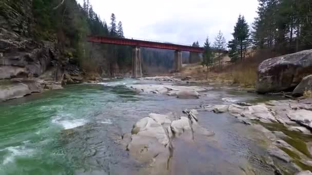 Piękny krajobraz z rzeką i most w Karpatach — Wideo stockowe