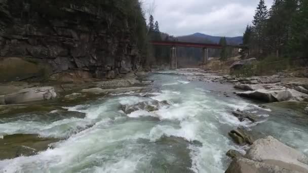Bellissimo paesaggio con fiume che scorre in montagna — Video Stock